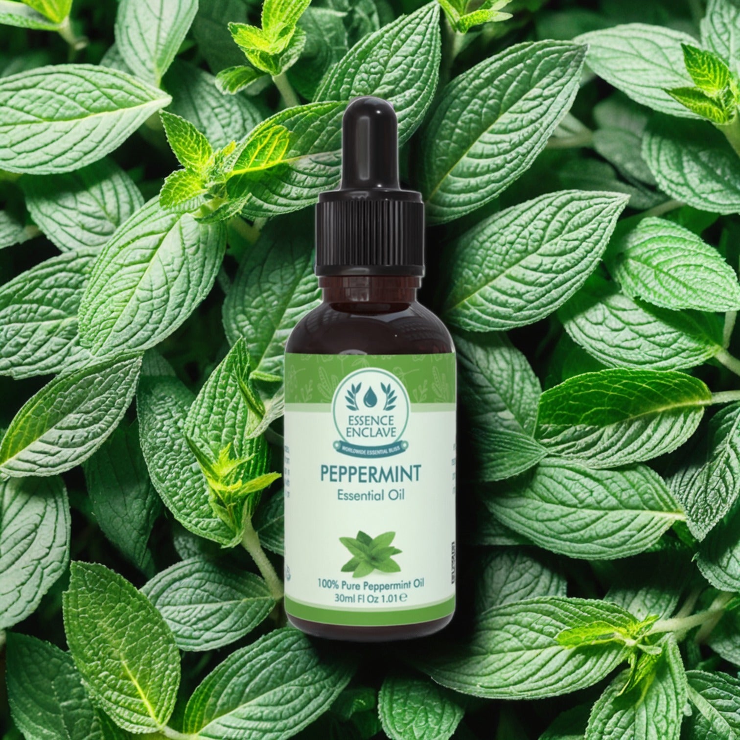 Peppermint Essential Oil 100% Pure 30ml: Essence - Enclave - Essence Enclave